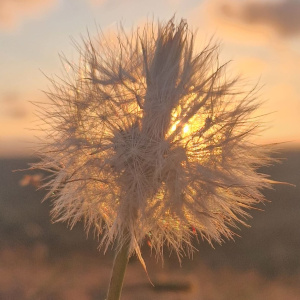 Welkom op Terschelling